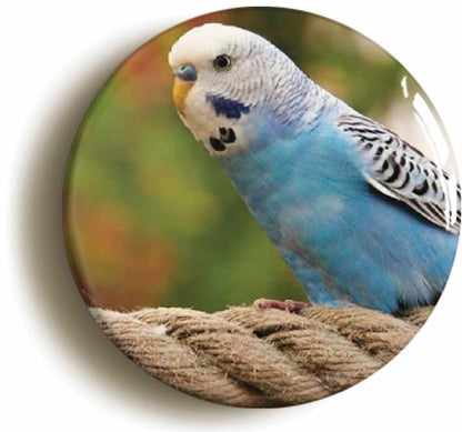 A picture of a button badge