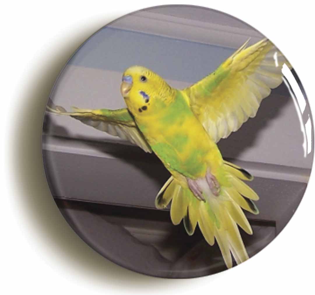 A picture of a fridge magnet