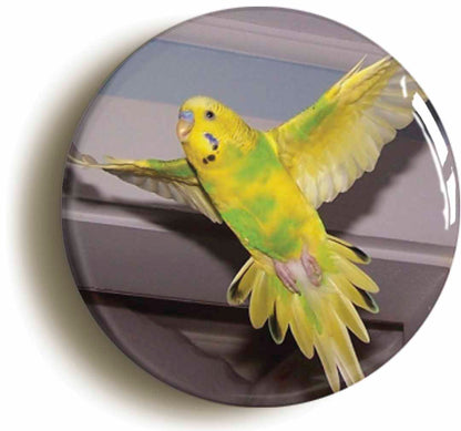 A picture of a button badge