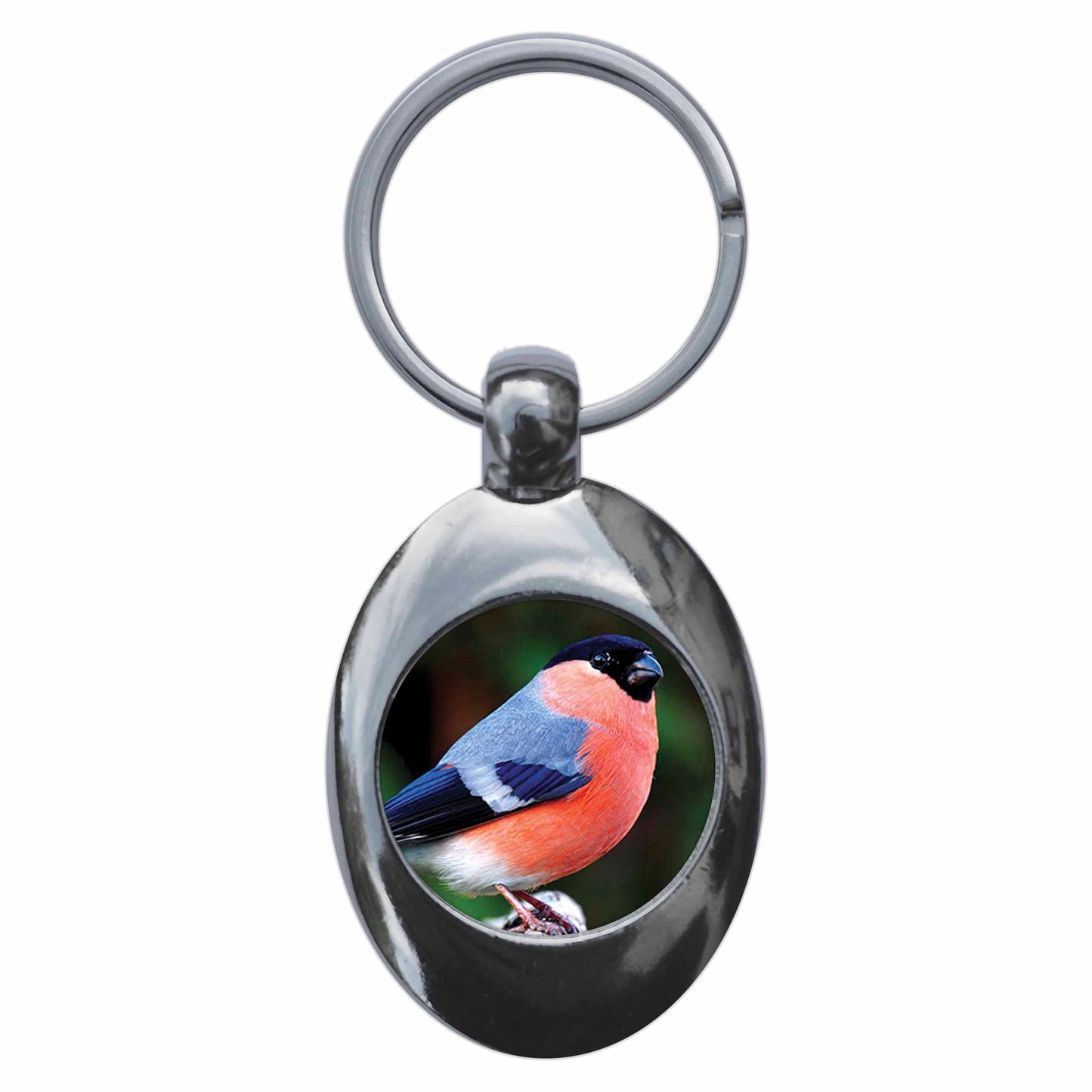 A picture of the front of the product, titled Bull Finch Metal Keyring With Trolley Coin