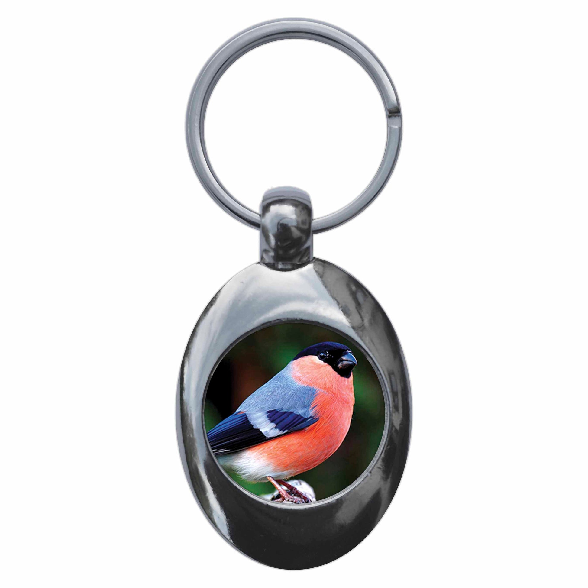 A picture of the front of the product, titled Bull Finch Metal Keyring With Trolley Coin