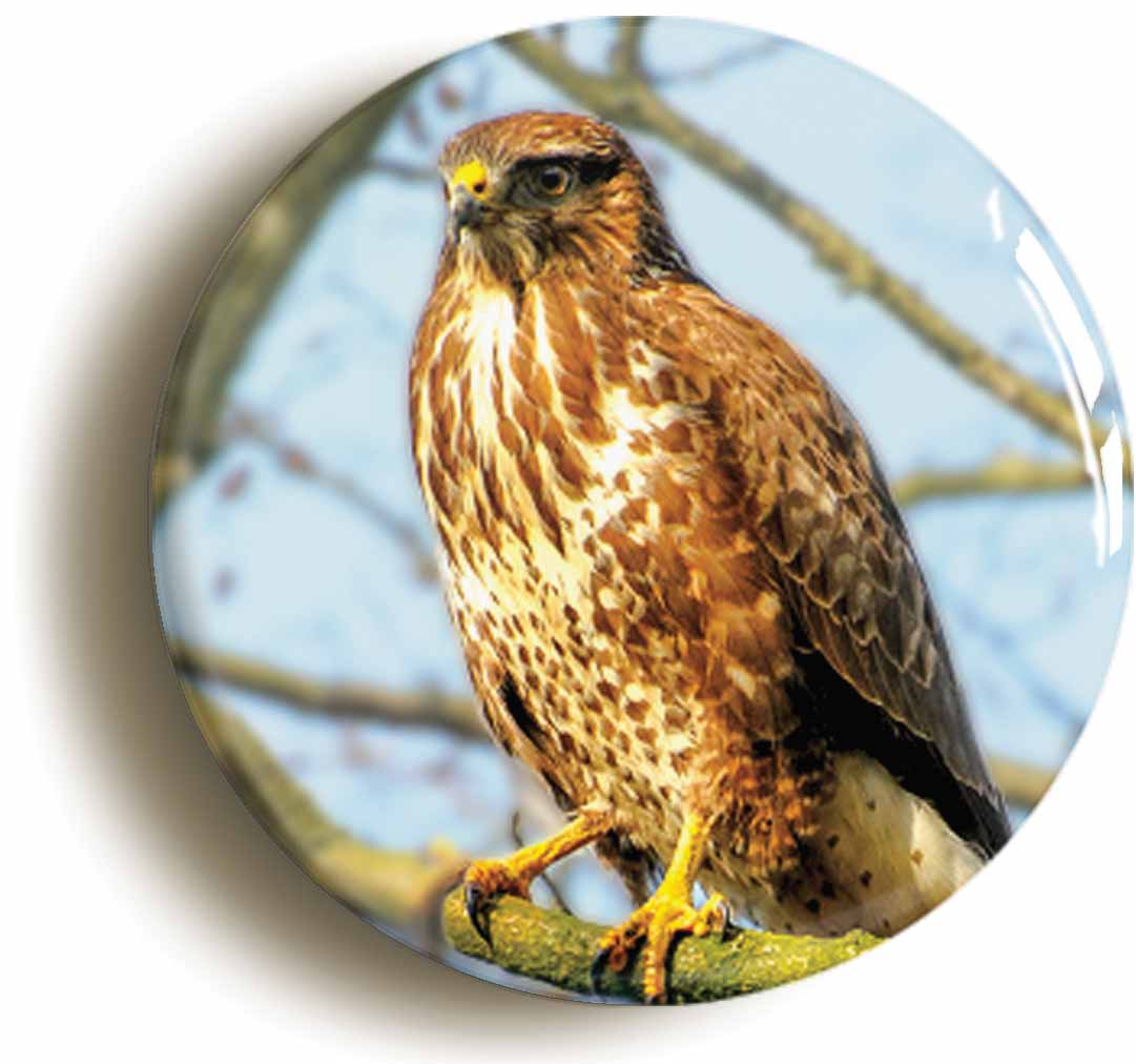 A picture of the front of the product, titled Buzzard Button Pin Badge