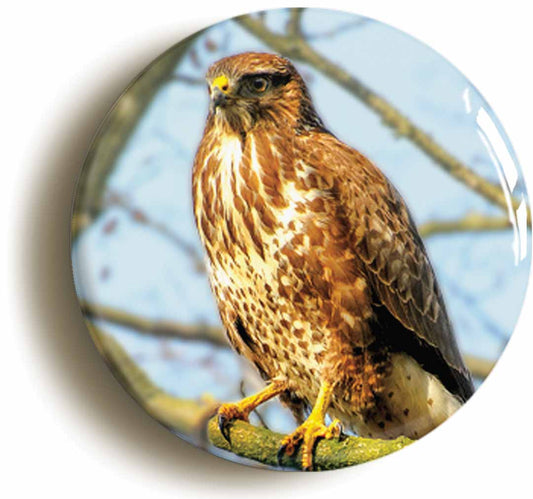 A picture of the front of the product, titled Buzzard Button Pin Badge