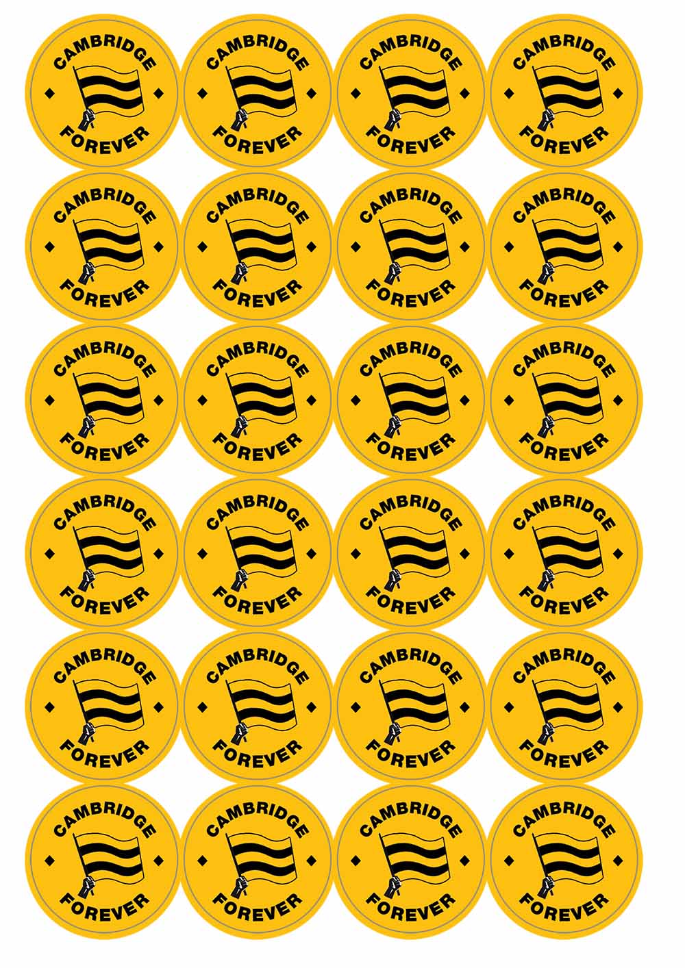 A picture of an A4 sheet of matte paper stickers