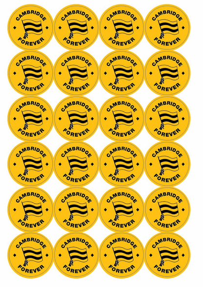 A picture of an A4 sheet of matte paper stickers