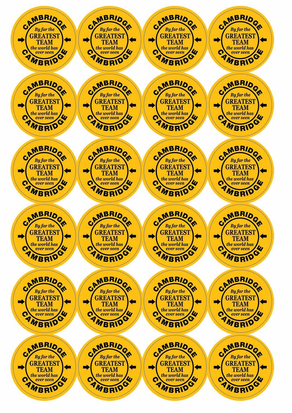 A picture of an A4 sheet of matte paper stickers