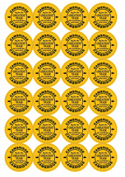 A picture of an A4 sheet of matte paper stickers