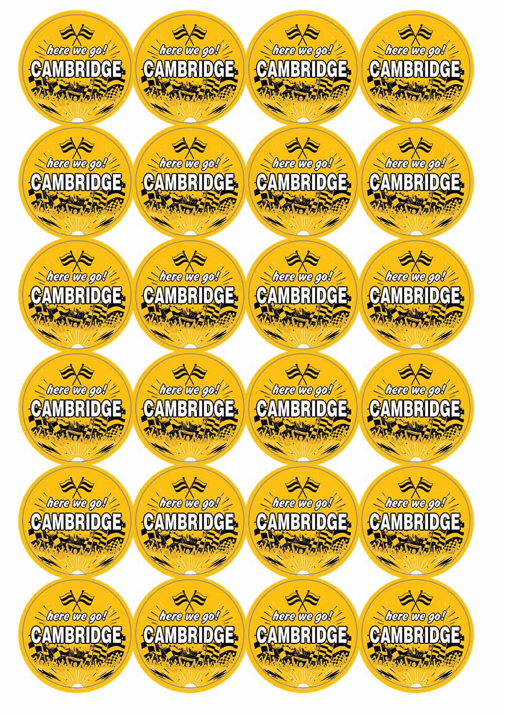 A picture of an A4 sheet of matte paper stickers