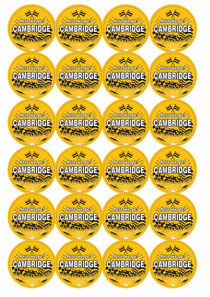 A picture of an A4 sheet of matte paper stickers