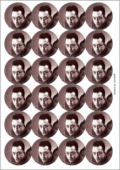 A picture of an A4 sheet of matte paper stickers
