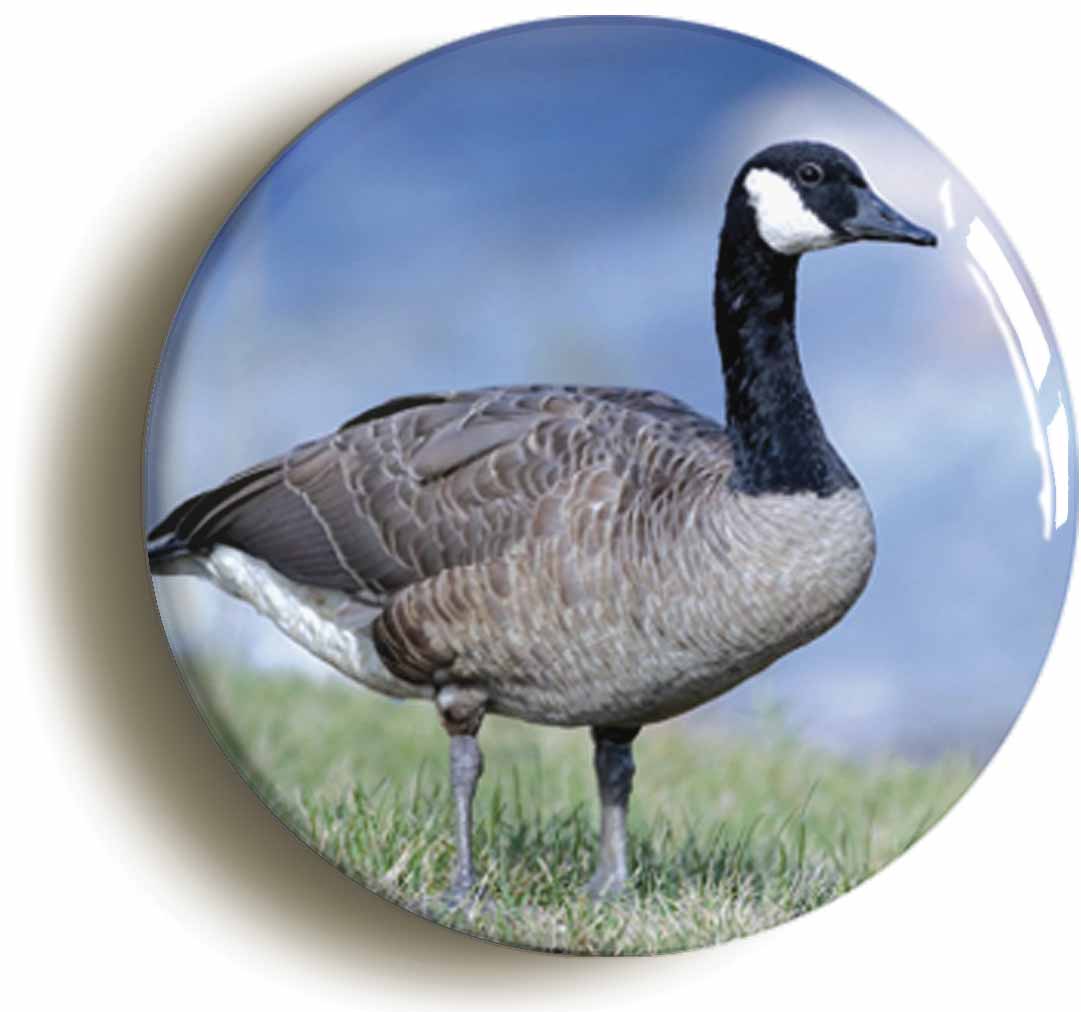 A picture of a button badge