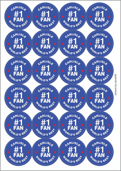 A picture of an A4 sheet of matte paper stickers
