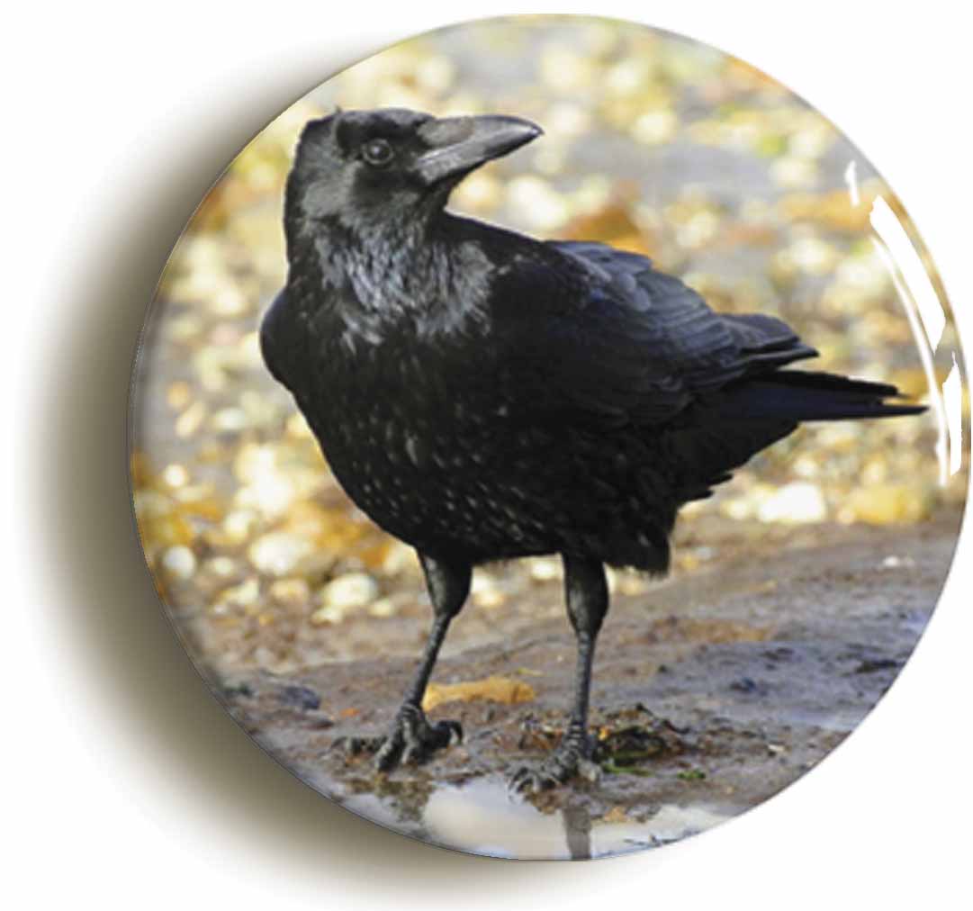 A picture of a button badge