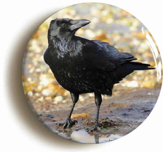 A picture of the front of the product, titled Carrion Crow Circular 50mm Fridge Magnet