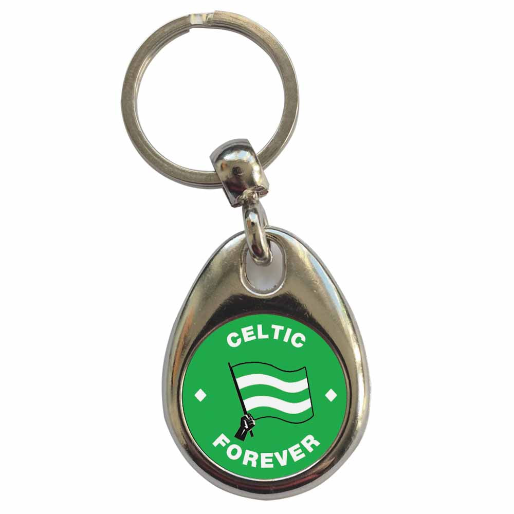 An image of a plain metal keyring