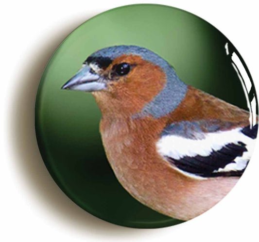 A picture of the front of the product, titled Chaffinch Button Pin Badge
