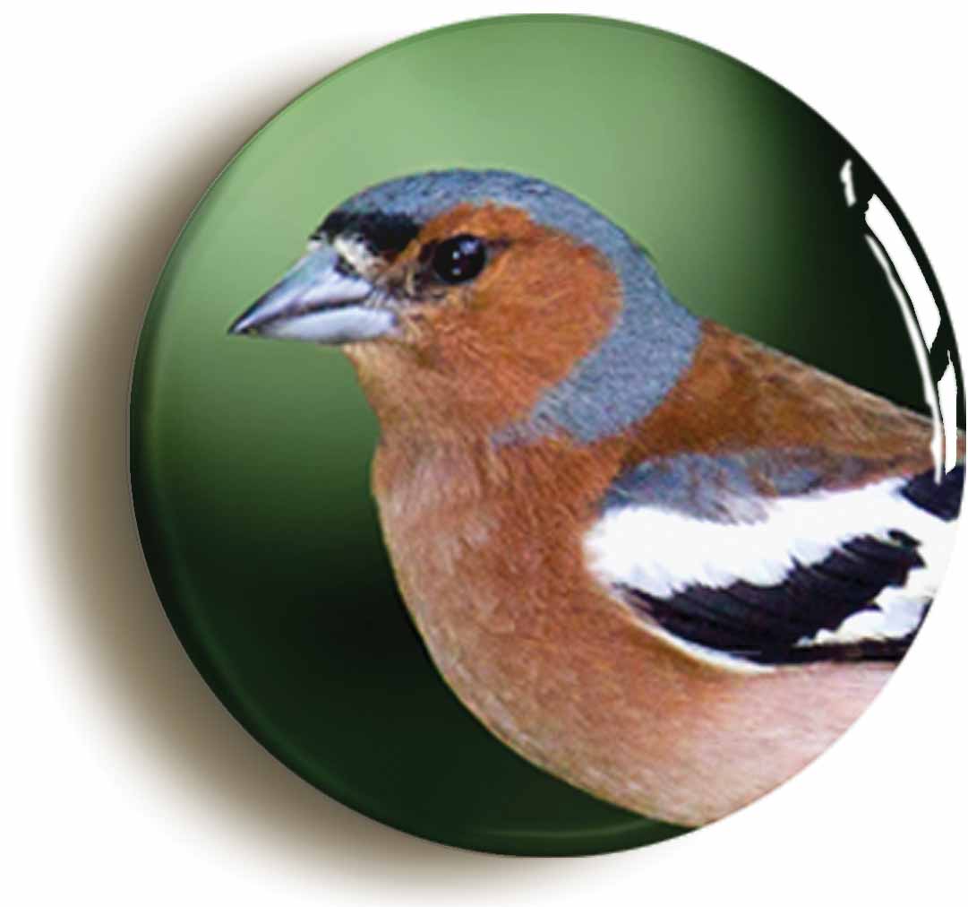 A picture of the front of the product, titled Chaffinch Circular 50mm Fridge Magnet