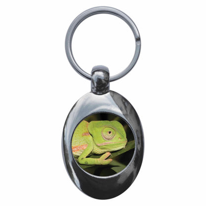 An image of a keyring