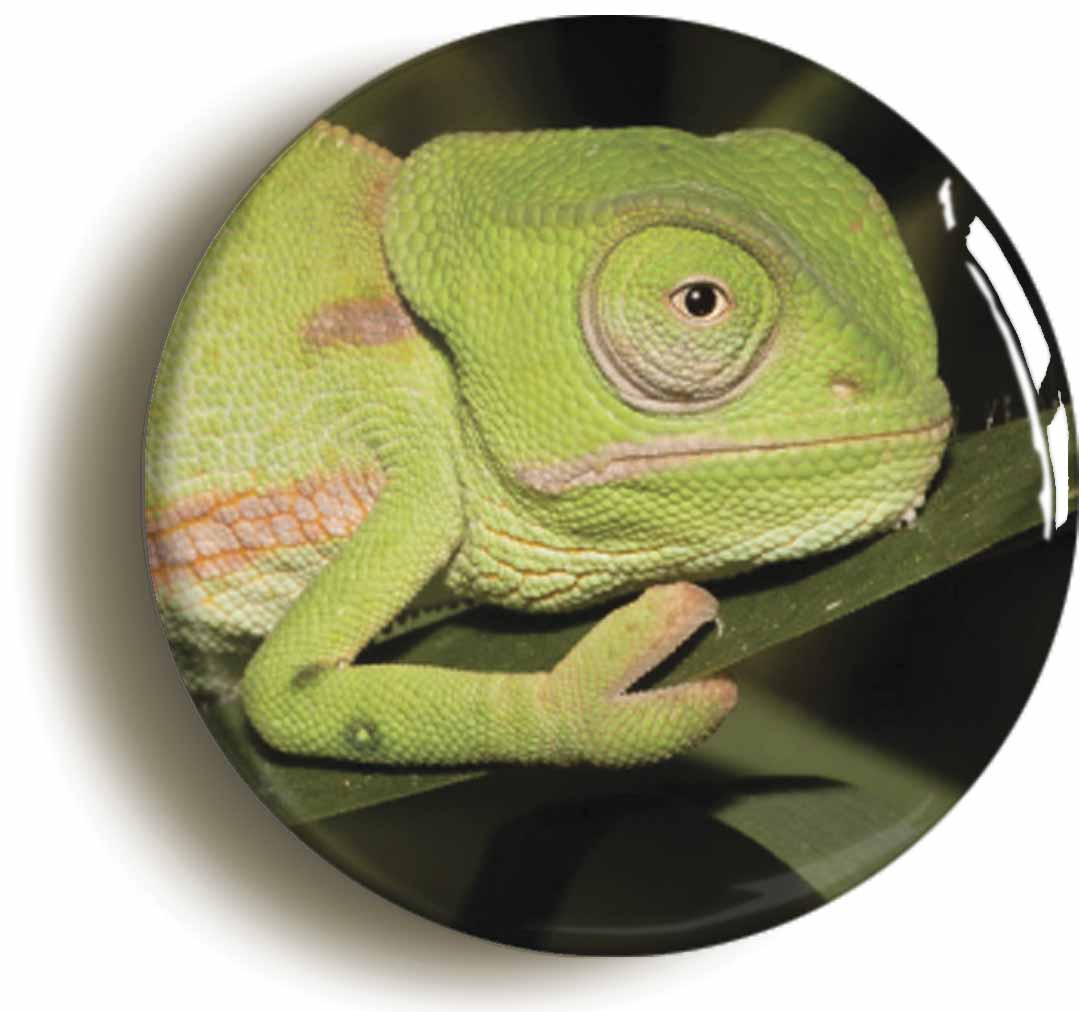 A picture of a button badge