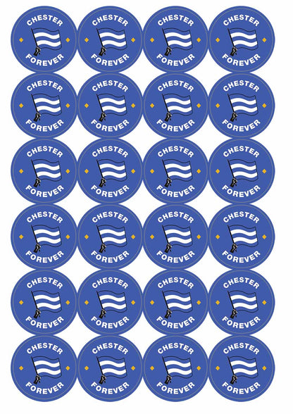 A picture of an A4 sheet of matte paper stickers