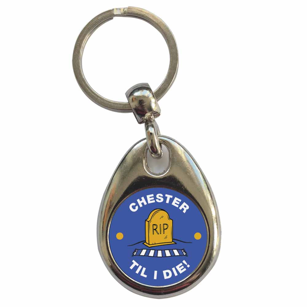 An image of a plain metal keyring