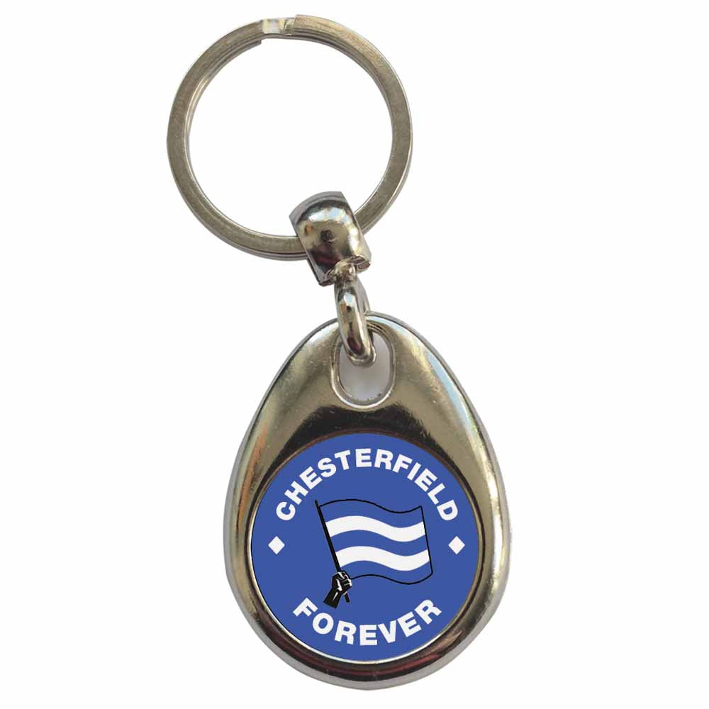 An image of a plain metal keyring