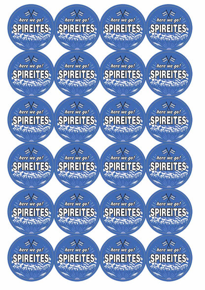 A picture of an A4 sheet of matte paper stickers