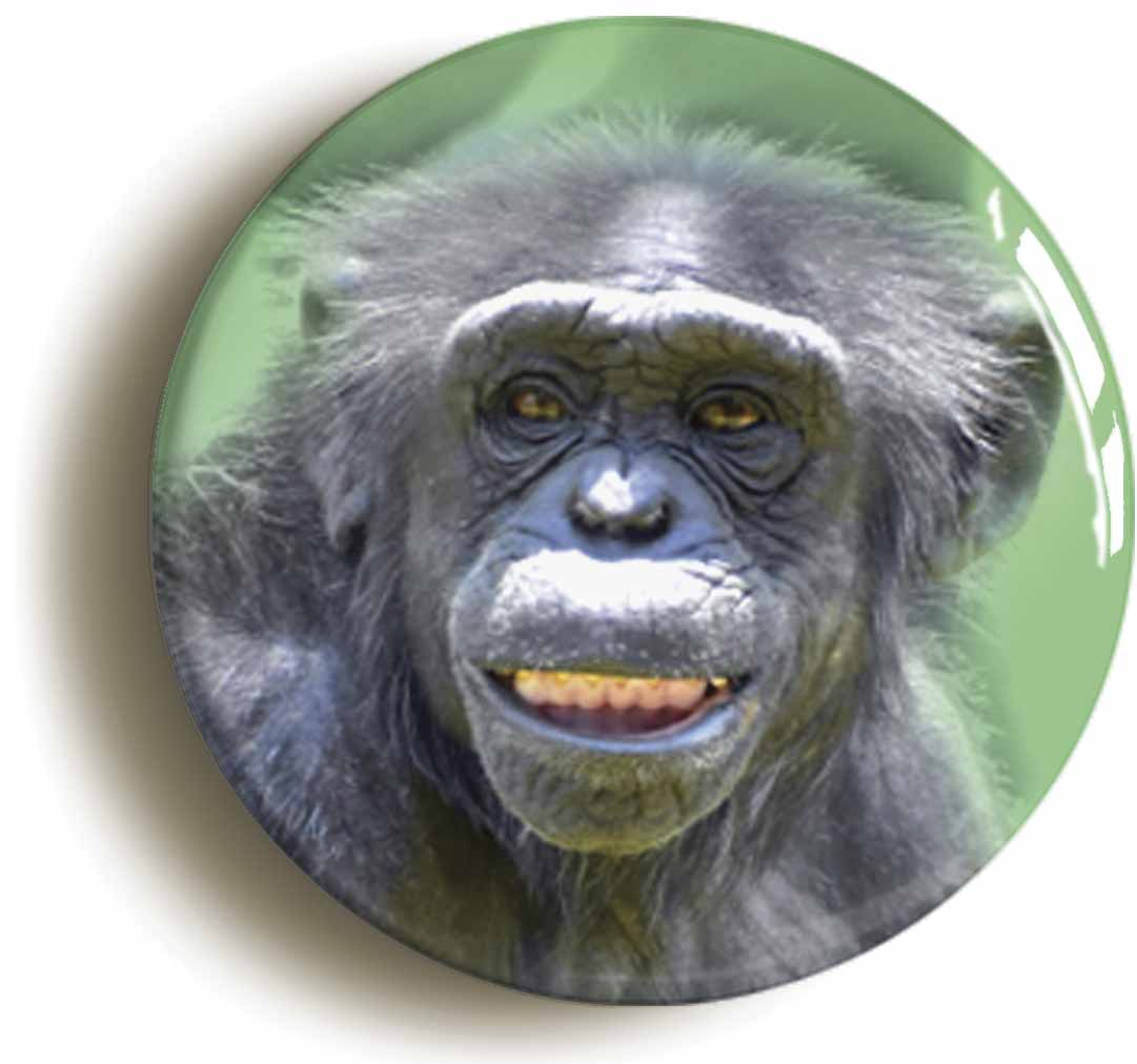 A picture of a button badge