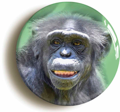 A picture of a fridge magnet