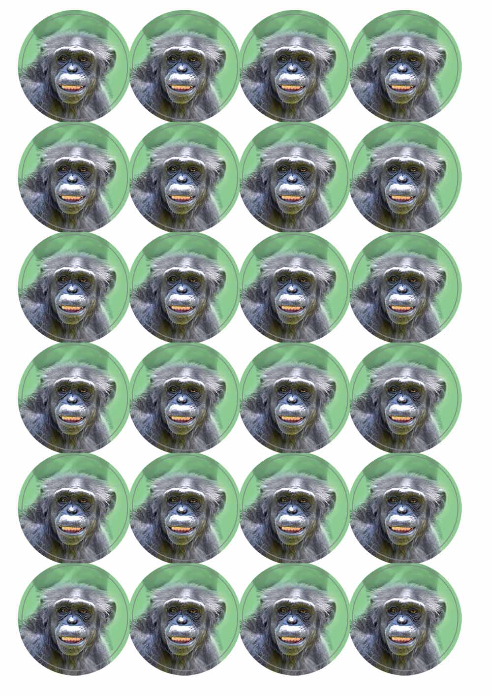 A picture of an A4 sheet of matte paper stickers