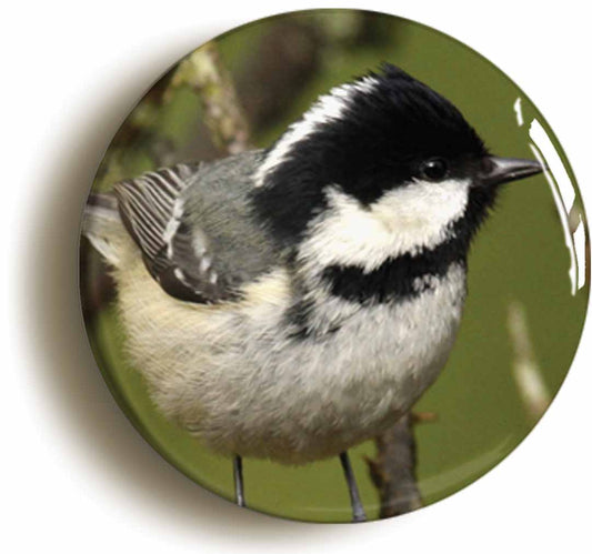 A picture of the front of the product, titled Coal Tit Button Pin Badge