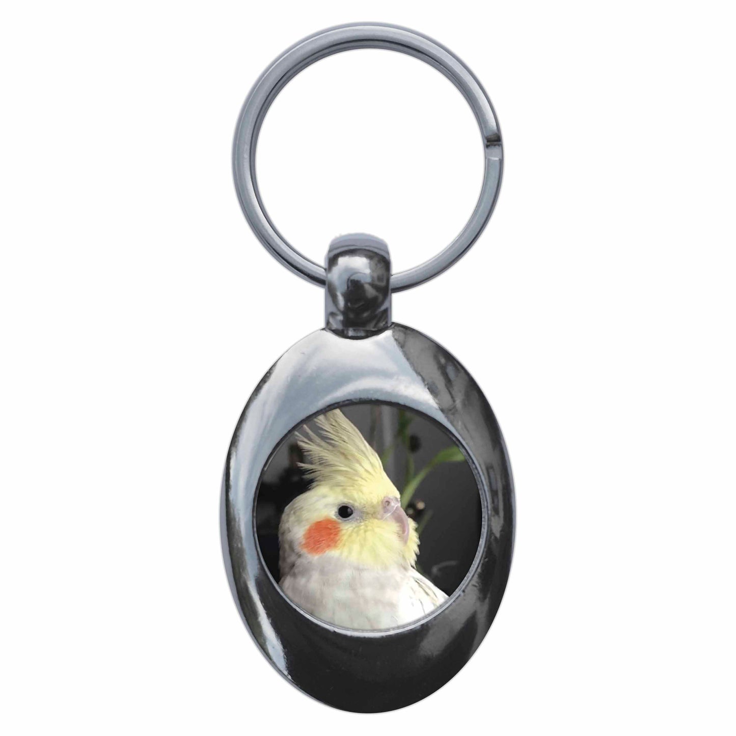 An image of a keyring