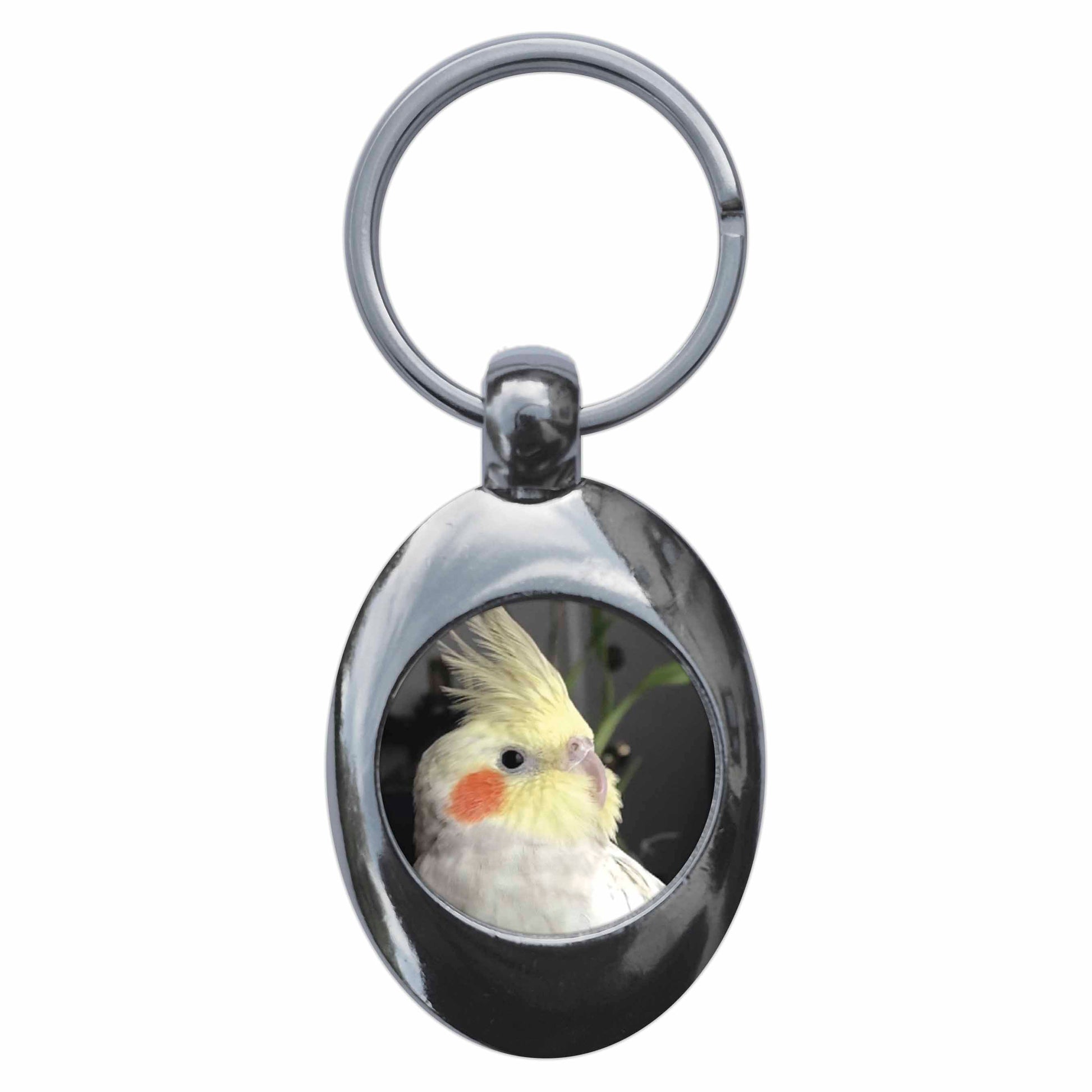 An image of a keyring