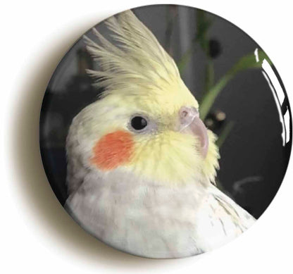 A picture of a fridge magnet