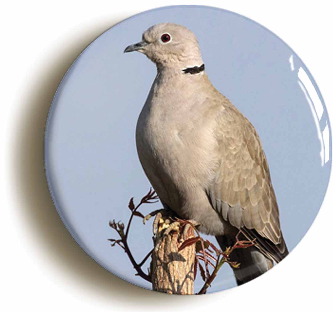 A picture of the front of the product, titled Collared Dove Circular 50mm Fridge Magnet
