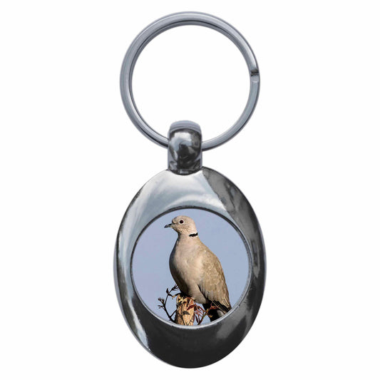 A picture of the front of the product, titled Collared Dove Metal Keyring With Trolley Coin