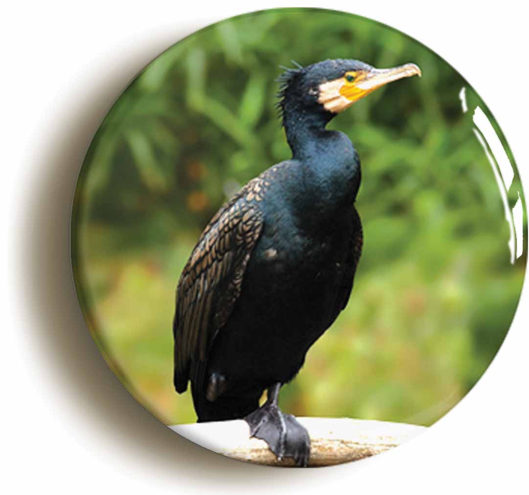A picture of the front of the product, titled Cormorant Circular 50mm Fridge Magnet