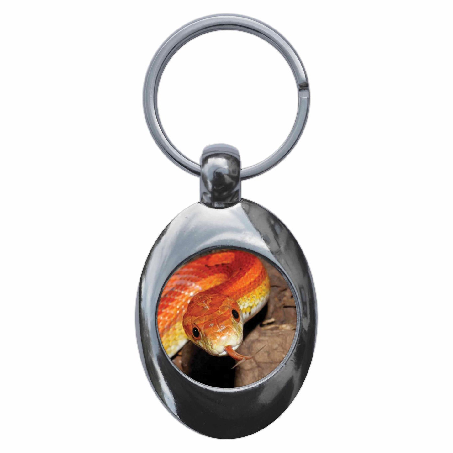 An image of a keyring