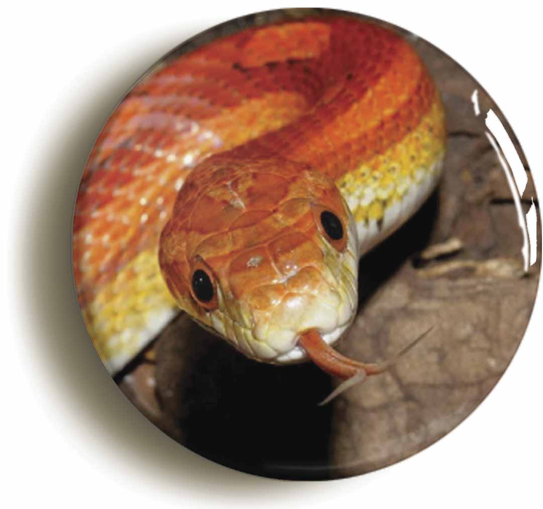 A picture of a button badge