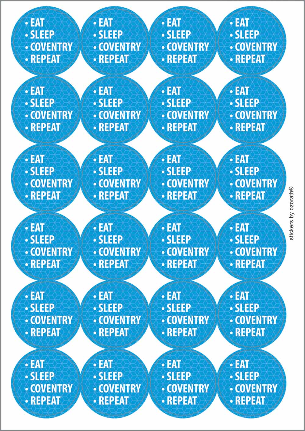 A picture of an A4 sheet of matte paper stickers