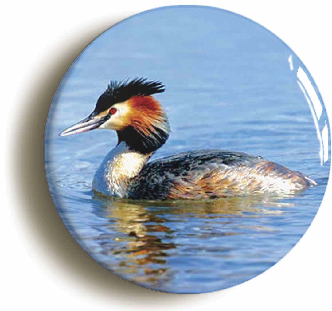 A picture of a fridge magnet