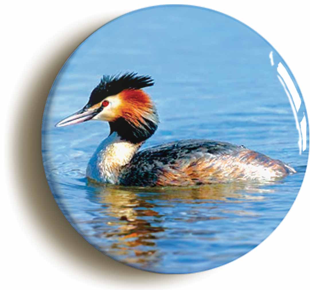 A picture of the front of the product, titled Crested Grebe Circular 50mm Fridge Magnet