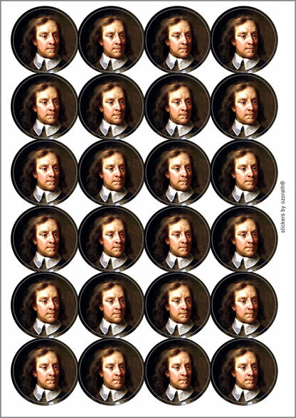 A picture of an A4 sheet of matte paper stickers