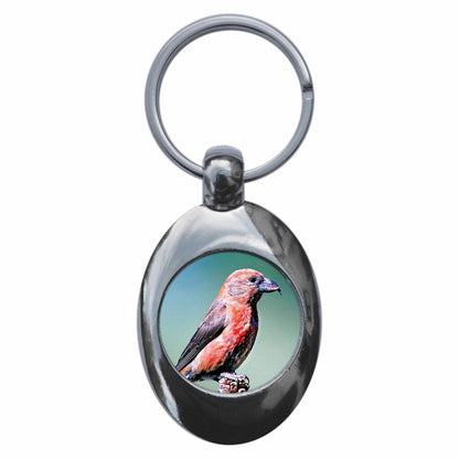 An image of a keyring