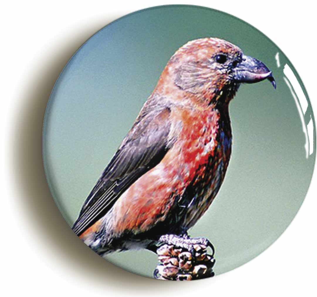 A picture of a button badge