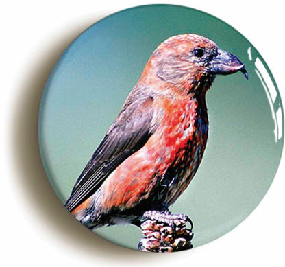 A picture of a button badge