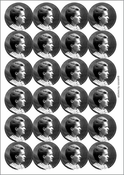 A picture of an A4 sheet of matte paper stickers