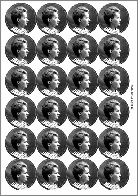 A picture of an A4 sheet of matte paper stickers