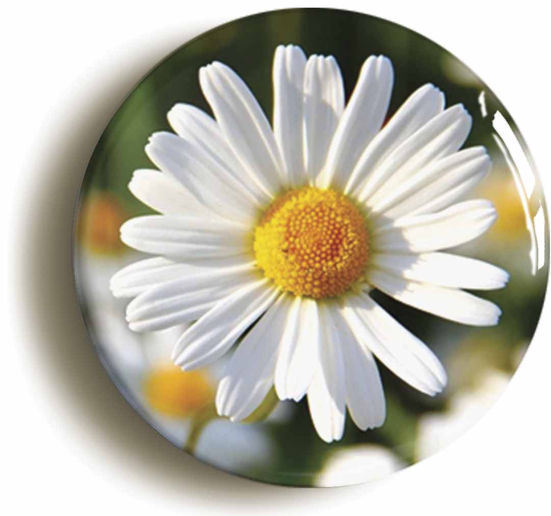 A picture of a button badge