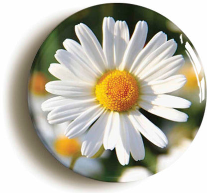 A picture of a button badge
